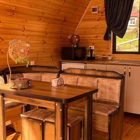 Vaso-Levani Kazbegi Cottage Εξωτερικό φωτογραφία